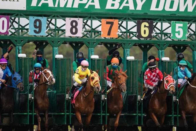 RaceBets
